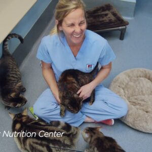 managing-pet-nutrition-a-science-backed-approach