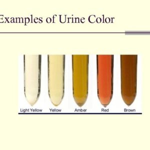 house-soiling-vs-urine-marking-how-to-tell-the-difference